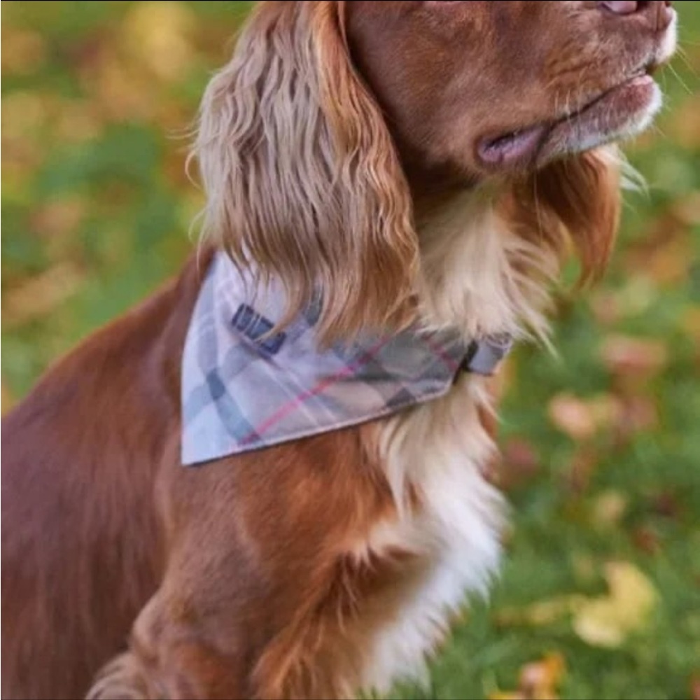 Barbour dog bandana